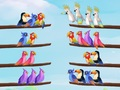 Jogo Puzzle de Classificação de Pássaros online