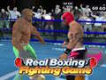 Jogo Jogo de Luta Real de Boxe online