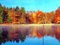 Jogo Simulador de Pesca Online online