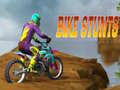Jogo Acrobacias de Bicicleta online