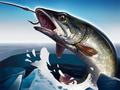 Jogo Pesca no Gelo 3D online