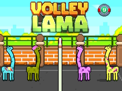 Jogo Volley Lama online