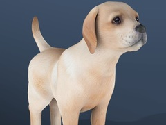 Jogo Pet Ocioso online