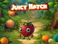 Jogo Partida Suculenta online