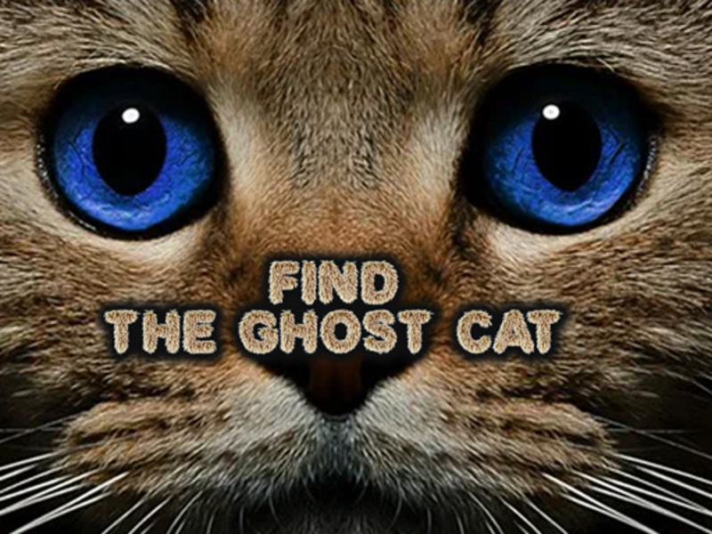Jogo Encontre o gato fantasma online