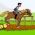 Corrida de cavalos Corrida de cavalos online
