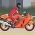 Corrida de moto  online