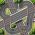 Corrida de circuito  online