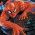 homem aranha homem aranha online