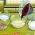 Escola de culinária Escola de culinária online