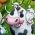 Agricultor Agricultor online