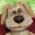 Cachorro Cachorro online