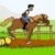 Corrida de cavalos  online