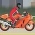 Corrida de moto  online