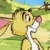 Coelho  online